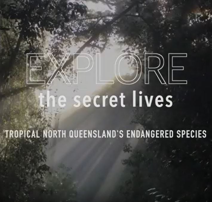 Wet Tropics endangered species video